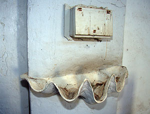 Baptismal font made from the half shell of a giant clam (genus Tridacna)