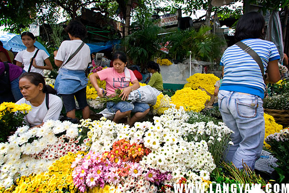 Vendors laying down their flowers. A part of the street was closed for them.