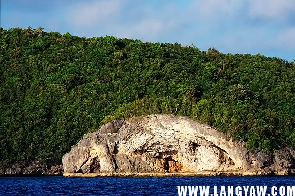 The yellowish limestone face contrasts greatly with the vegetation at the background.