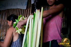 Young coconut leaves stripped and ready for weaving.