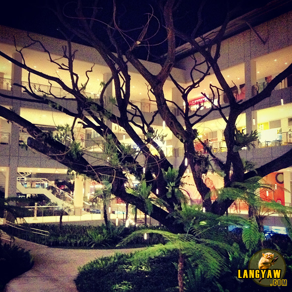 Centrio Mall in CDO with an old tree incorporated within