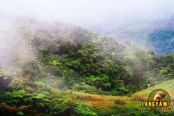 The rugged terrain of Central Cebu as an adventure racer's paradise