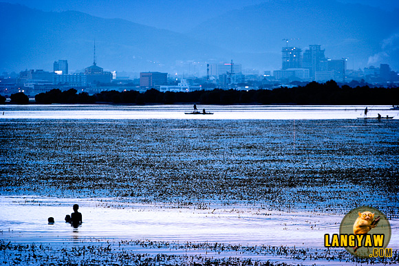 The rural and the urban as seen from Cordova, Mactan