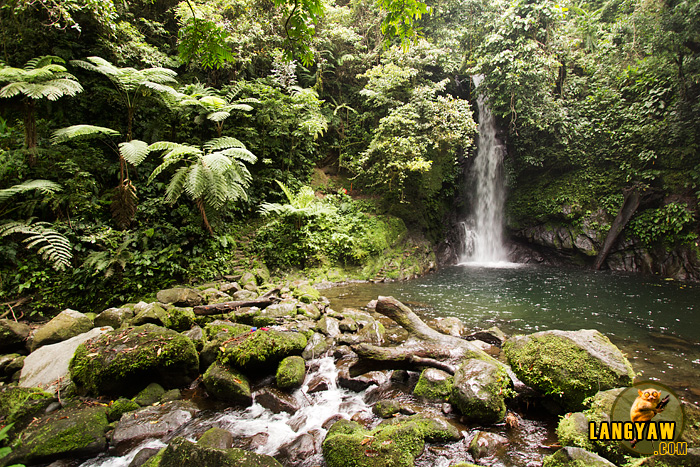 Scenic view of Malabsay Falls in Panicuason, Naga City