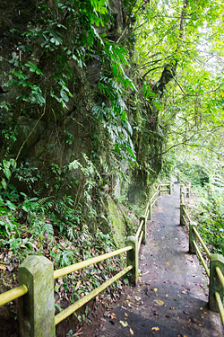 A well paved path with railings