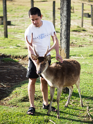 Petting one of the deer in the farm