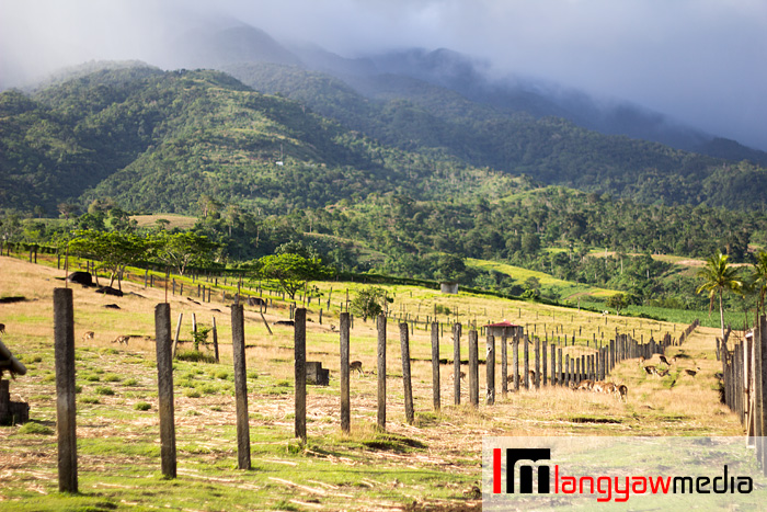 The farm is situated at the foothills of Mt. Isarog