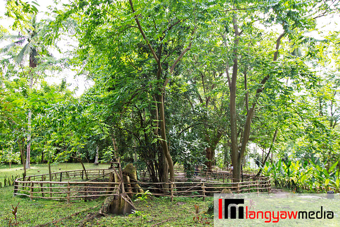 Samal Bat Cave Sanctuary