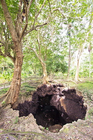 Samal Bat Cave Sanctuary