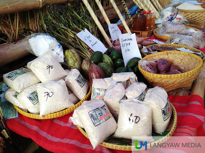 Agricultural products fair from the different municipalities