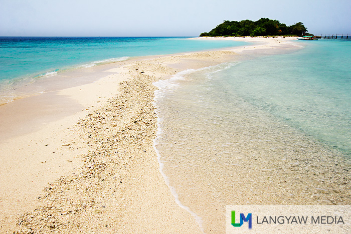 Snaking sandbar as seen from near the tip