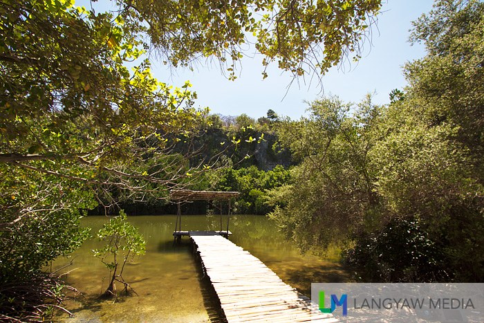 A lagoon perfect for kayaking is surrounded by mangroves