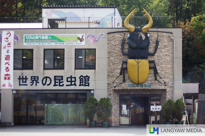 The insect museum with its giant stag beetle just above the entrance