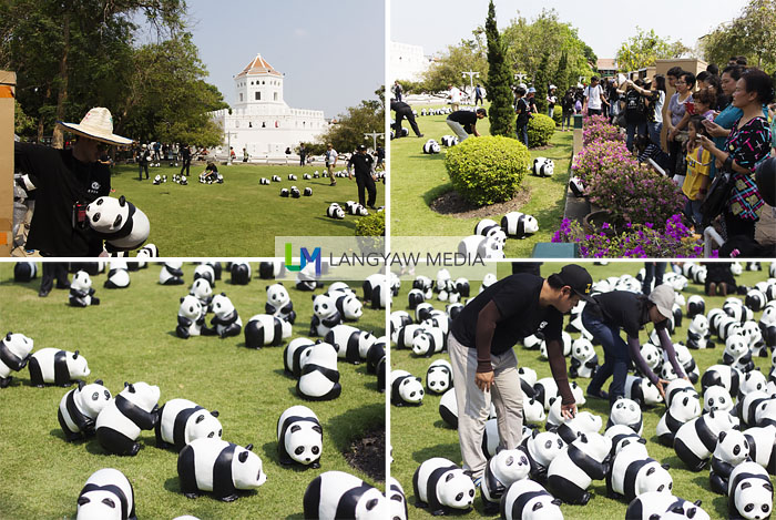 Stages of the panda 'invasion' from clear grounds to placing individual papier mache pandas