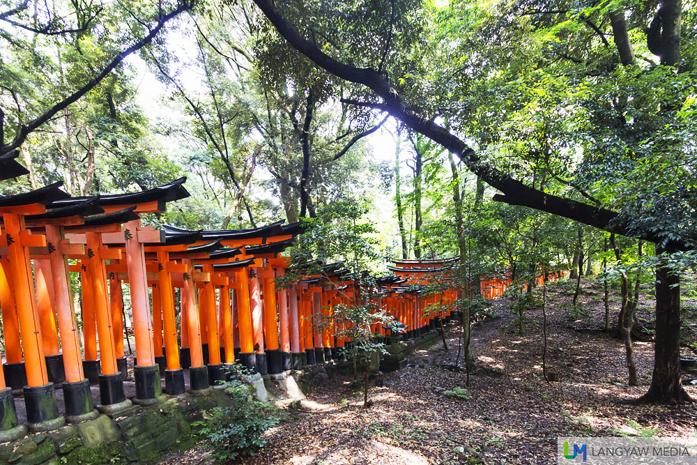 Torii gates leading to the two upper and important shrines midway and at the summit.