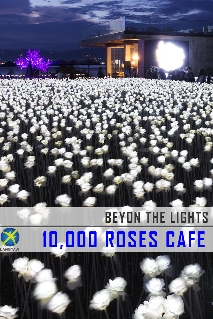 10000 Roses Cafe